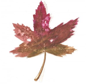 Leaf2